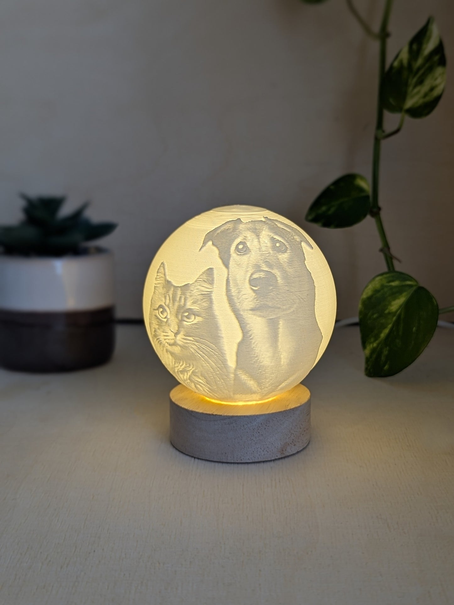 Personalized Lithophane Moonlamp – LED Globe
